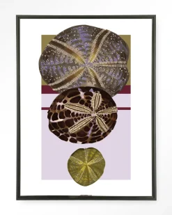 Hot Urban Cotton Wandkleed Marinus 1 in maat en frame naar keuze