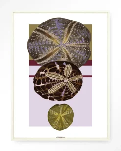 Hot Urban Cotton Wandkleed Marinus 1 in maat en frame naar keuze