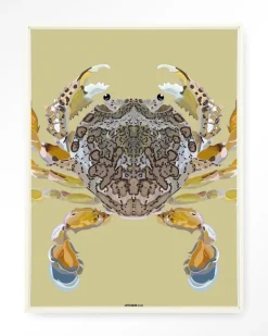 Best Urban Cotton Wandkleed Matuta in maat en frame naar keuze