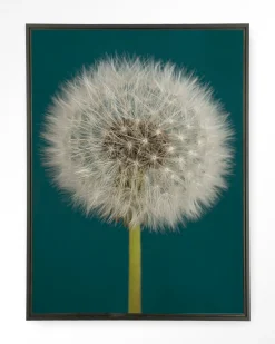 New Urban Cotton Wandkleed Pluizige Paardenbloem in maat en frame naar keuze