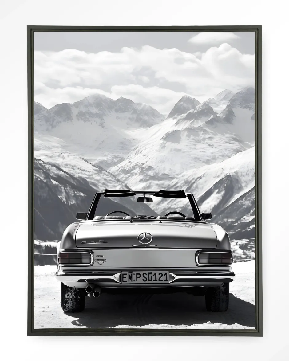 Hot Urban Cotton Wandkleed Ski Resort in maat en frame naar keuze