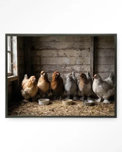 Clearance Urban Cotton Wandkleed The Chicken Barn in maat en frame naar keuze