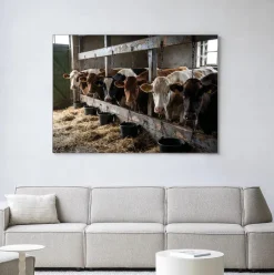 Hot Urban Cotton Wandkleed The Cow Barn in maat en frame naar keuze