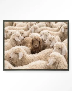 Urban Cotton Wandkleed The Herd in maat en frame naar keuze