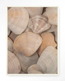 Best Urban Cotton Wandkleed Tijdloze Rust: In Een Zee Van Schelpen in maat en frame naar keuze