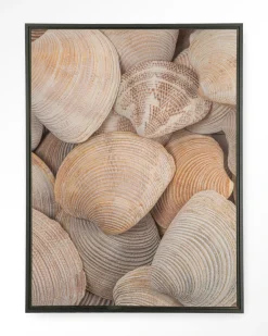 Best Urban Cotton Wandkleed Tijdloze Rust: In Een Zee Van Schelpen in maat en frame naar keuze