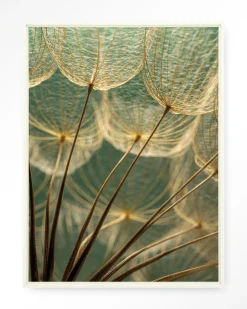 Hot Urban Cotton Wandkleed Van Abstractie Tot Detail in maat en frame naar keuze