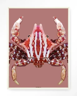 Best Urban Cotton Wandkleed Villo Donus in maat en frame naar keuze