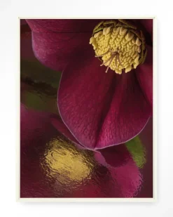 Clearance Urban Cotton Wandkleed Weerspiegeling Van Een Kerstroos in maat en frame naar keuze