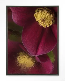 Clearance Urban Cotton Wandkleed Weerspiegeling Van Een Kerstroos in maat en frame naar keuze