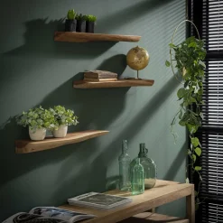 Discount LifestyleFurn Wandplank Erica Boomstam, Set van 3 stuks Massief acacia naturel